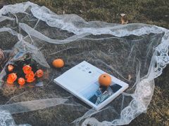 -杭州城北体育公园