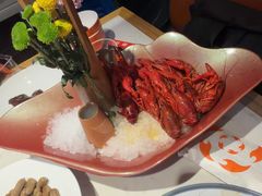 -杨氏青龙虾·羊蝎子(托乐嘉店)