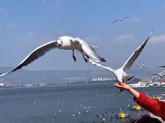 -海埂大坝