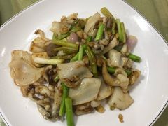 爆炒墨鱼-鹏城人家海鲜酒家·23年老字号(较场尾店)