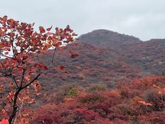 -周口店坡峰岭风景区