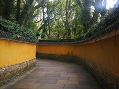 -普陀山风景名胜区-法雨禅寺