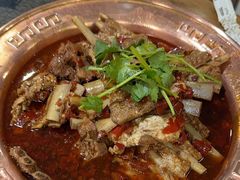 -友乐居羊蝎子(西直门店)