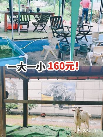 亲子户外游160元，风景还可以哦！