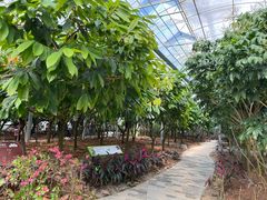 -歌斐颂巧克力小镇