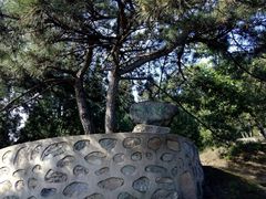 -北京鹫峰国家森林公园