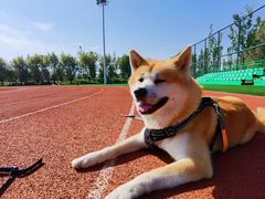 -瀛海足球主题公园