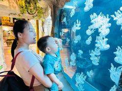 -Zoolung Zoolung动物主题公园(海信广场店)