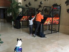 -宁波九龙湖开元度假村