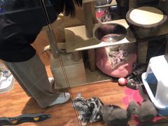 -约网咖(西塔店)