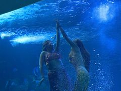 -太平洋海底世界