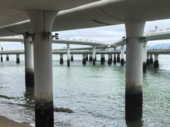 -演武大桥观景平台