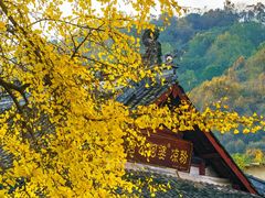 -崇州市街子古镇