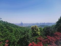 -岳麓山风景名胜区