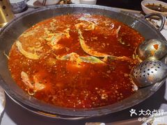 -吃城都·鱼蛙火锅(西玉龙街店)