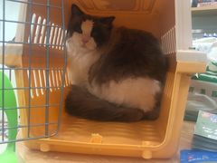 -佳雯宠物医院(四明中路分院)