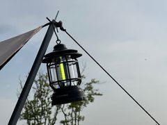 -春花秋色城市公园