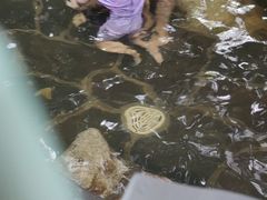 -西安国际创新人才交流中心•药浴温泉