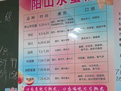 -老袁家蜜桃农场·阳山水蜜桃