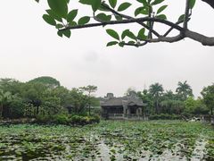 -粤晖园