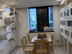 -楼上猫咖(罗湖店)