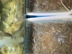 -福建美食城(老君堂店)