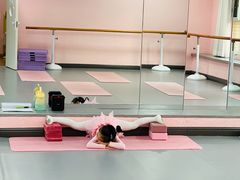 -蒲公英舞蹈艺术中心(促进路校区)