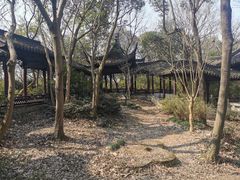 -上海佘山国家森林公园天马山园