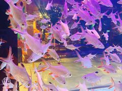 -木子塘汗蒸生活馆(财富港店)