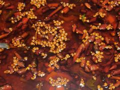 -胖子鱼·天水麻辣鱼火锅(秦州407店)