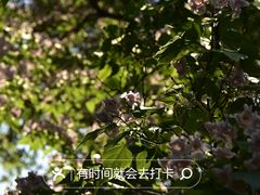-国家植物园