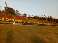-深圳湾公园(南山区)