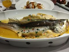 鸡汁蒸大黄鱼-京味斋·北京烤鸭(华威桥北工大店)