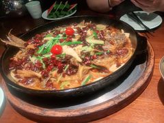 -老板恋上鱼(高新万达店)