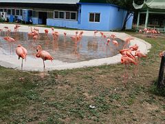 -秦皇岛野生动物园