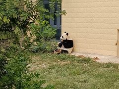 -石家庄市动物园