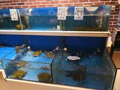 水产区-姜君·千岛湖鱼头馆(浦东大道店)