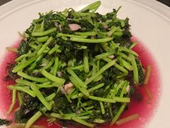 -阿露佳·舌尖上的安吉菜