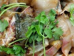 -秦巴石锅鱼(文化南路店)