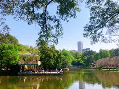 -晓港公园
