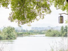 -三垟湿地