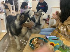 -李小姐の猫咖啡馆(五角场店)