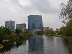 -舟山希尔顿酒店