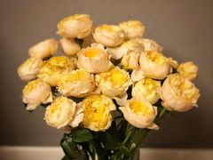 -沪花拾者(好再来花卉鲜花店)