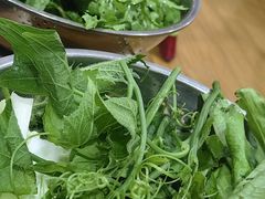 -黔府豆米火锅野菜馆(南马店)