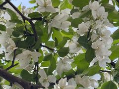 -洛阳市隋唐城遗址植物园