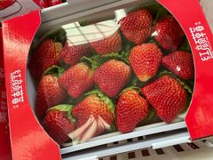 -西郊国际农产品交易中心