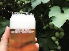 -ZING鲸鱼啤酒(葡萄院店)