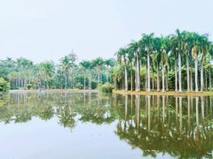 -中国科学院西双版纳热带植物园
