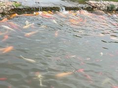 -月牙潭公园